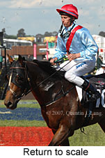 Return to scale (17769 bytes)