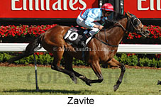 Zavite (18507 bytes)