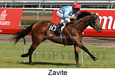 Zavite (18507 bytes)