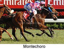 Montechoro (18507 bytes)