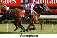 Montechoro (18507 bytes)