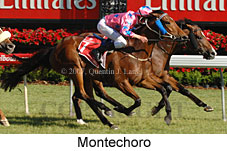 Montechoro (18507 bytes)