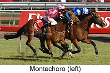 Montechoro (18507 bytes)