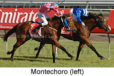 Montechoro (18507 bytes)