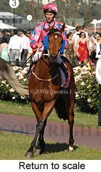 Return to scale (17769 bytes)