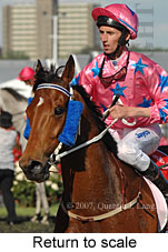 Return to scale (17769 bytes)