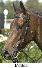 r1mcbeal.jpg (9198 bytes)