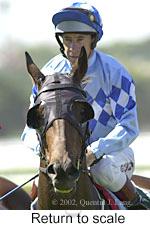 r1rtosc.jpg (9286 bytes)