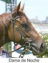 r3damadenoche2.jpg (9491 bytes)