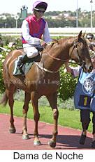 r3damadenoche3.jpg (11312 bytes)