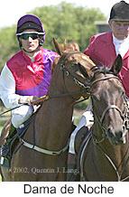 r3damadenoche4.jpg (10327 bytes)