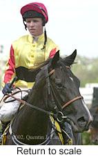 r5rtosc.jpg (8598 bytes)