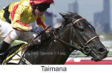 r5taimana.jpg (10322 bytes)