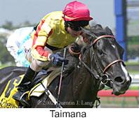 r5taimana2.jpg (10234 bytes)