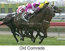 r6oldcomrade.jpg (11512 bytes)