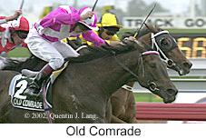 r6oldcomrade2.jpg (11400 bytes)