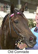 r6oldcomrade3.jpg (9311 bytes)