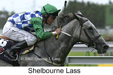 r8shelbournelass.jpg (12907 bytes)