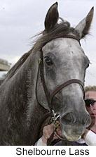 r8shelbournelass3.jpg (7867 bytes)