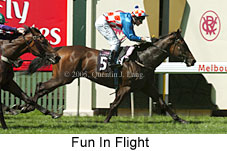 Fun In Flight (14872 bytes)