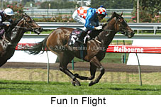 Fun In Flight (14872 bytes)