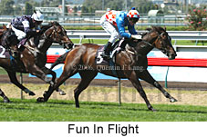 Fun In Flight (14872 bytes)