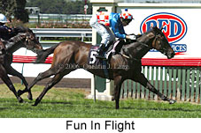 Fun In Flight (14872 bytes)