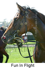 Fun In Flight (14872 bytes)