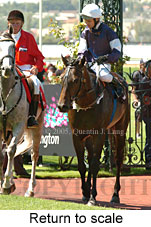 Return to scale (15361 bytes)