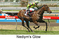 Nediym's Glow (14872 bytes)