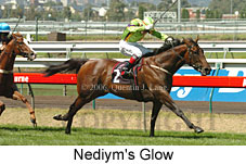 Nediym's Glow (14872 bytes)