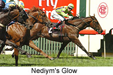 Nediym's Glow (14872 bytes)