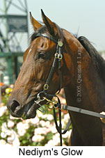 Nediym's Glow (14872 bytes)