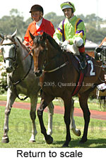 Return to scale (15361 bytes)