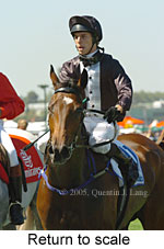 Return to scale (15361 bytes)