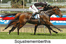 Sojustrememberthis (14872 bytes)