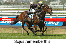 Sojustrememberthis (14872 bytes)