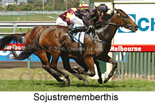 Sojustrememberthis (14872 bytes)