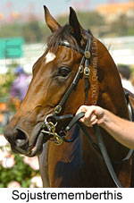 Sojustrememberthis (14872 bytes)