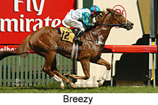 Breezy (14872 bytes)