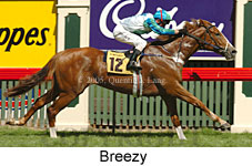 Breezy (14872 bytes)