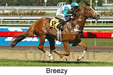 Breezy (14872 bytes)