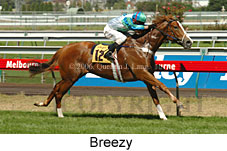 Breezy (14872 bytes)