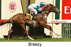 Breezy (14872 bytes)