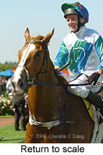 Return to scale (15361 bytes)