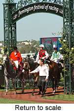 Return to scale (15361 bytes)