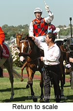 Return to scale (15361 bytes)