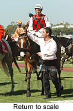 Return to scale (15361 bytes)