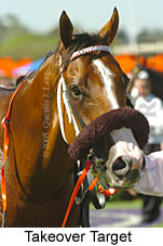 Takeover Target (14872 bytes)
