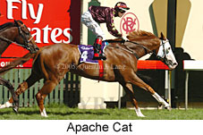 Apache Cat (14872 bytes)